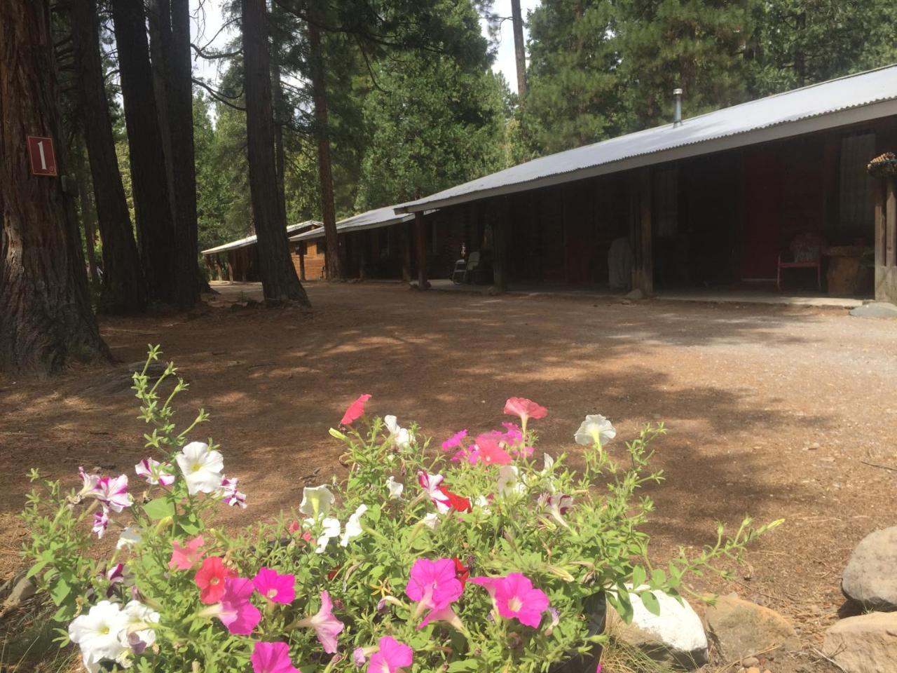Sierra Sky Lodge Sloat Exterior photo